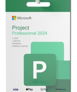 Microsoft Project Professional 2024