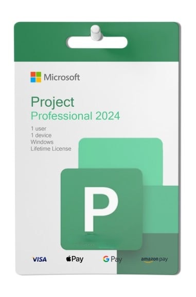 Microsoft Project Professional 2024